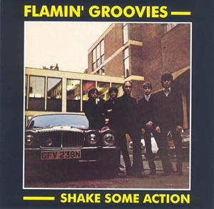 flamin groovies