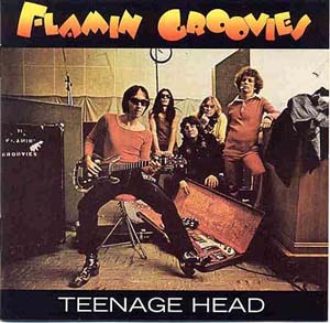 flamin groovies