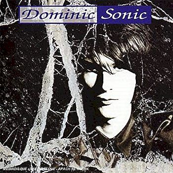 dominic sonic