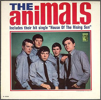 animals